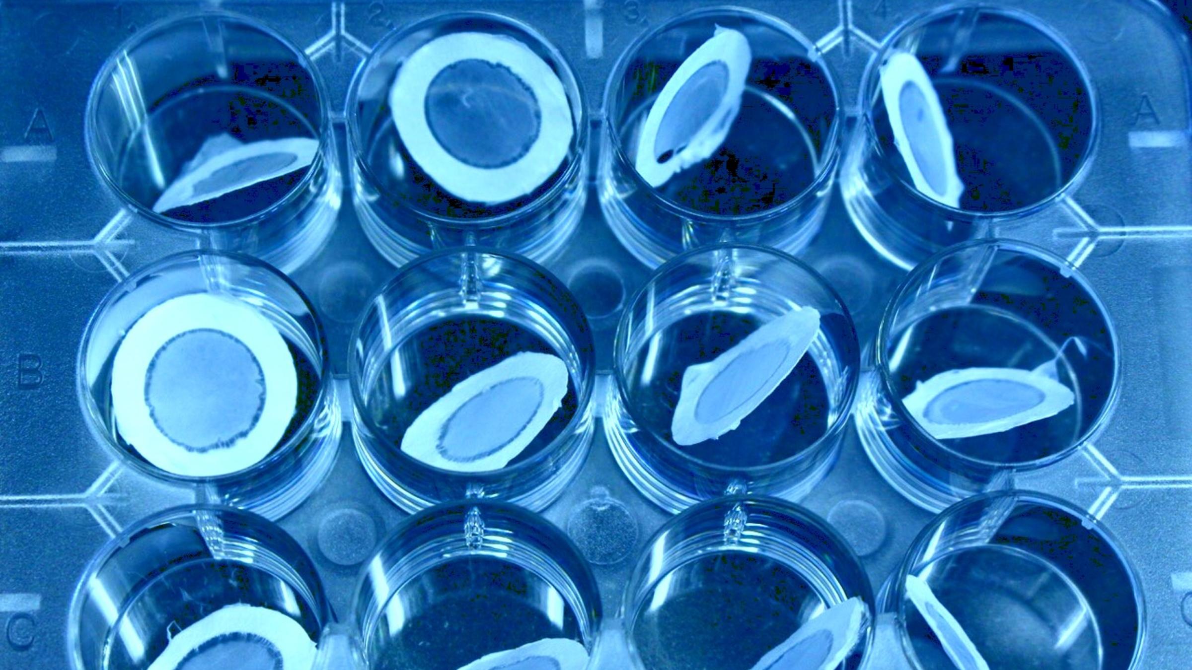 lab experimental containers