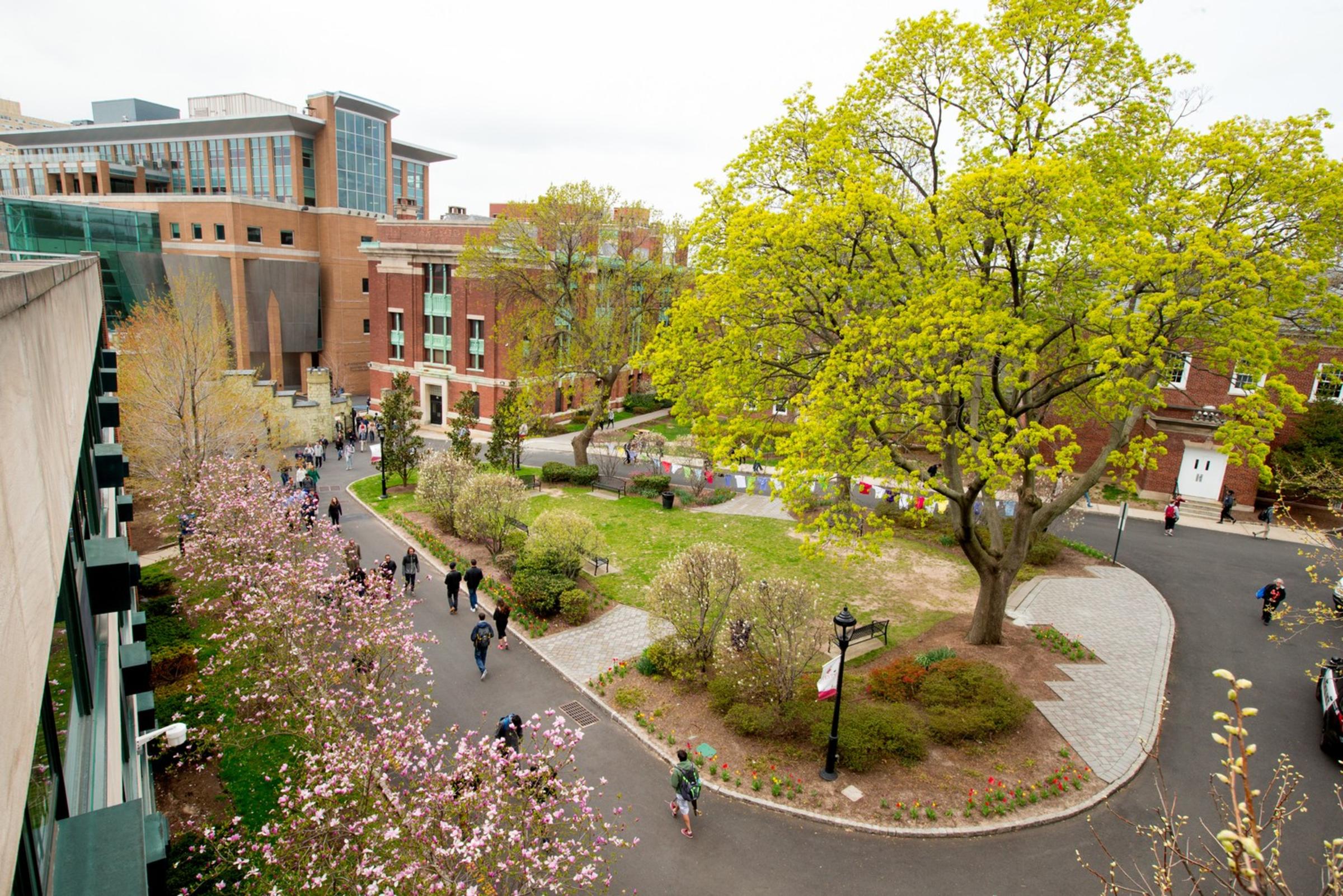 Arial photo of campus with green trees