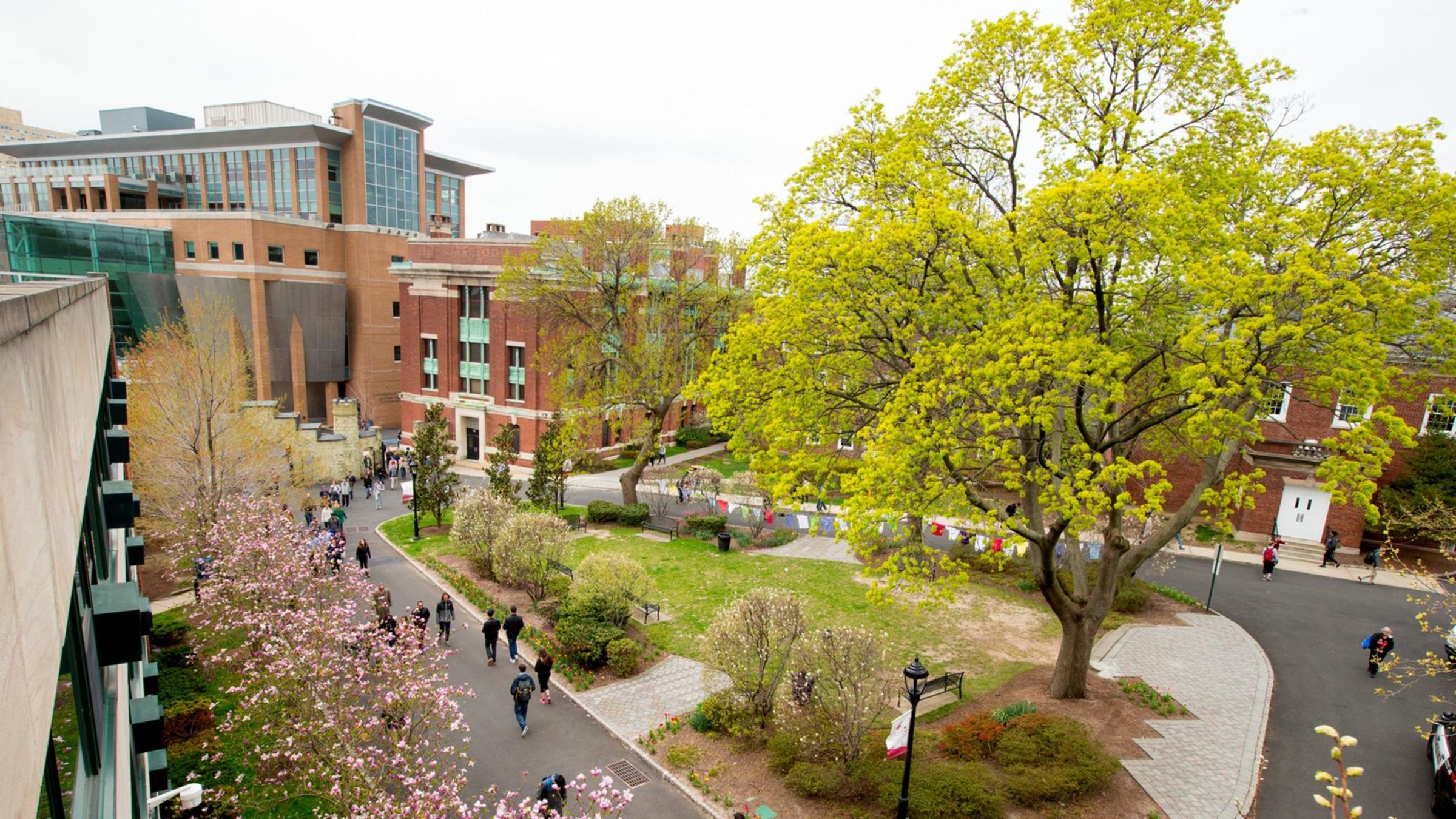 Arial photo of campus with green trees