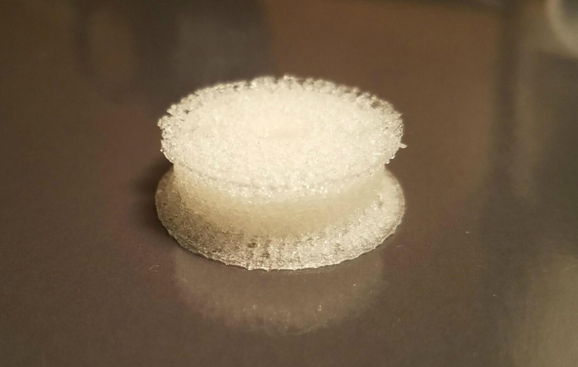 Image of cell scaffold