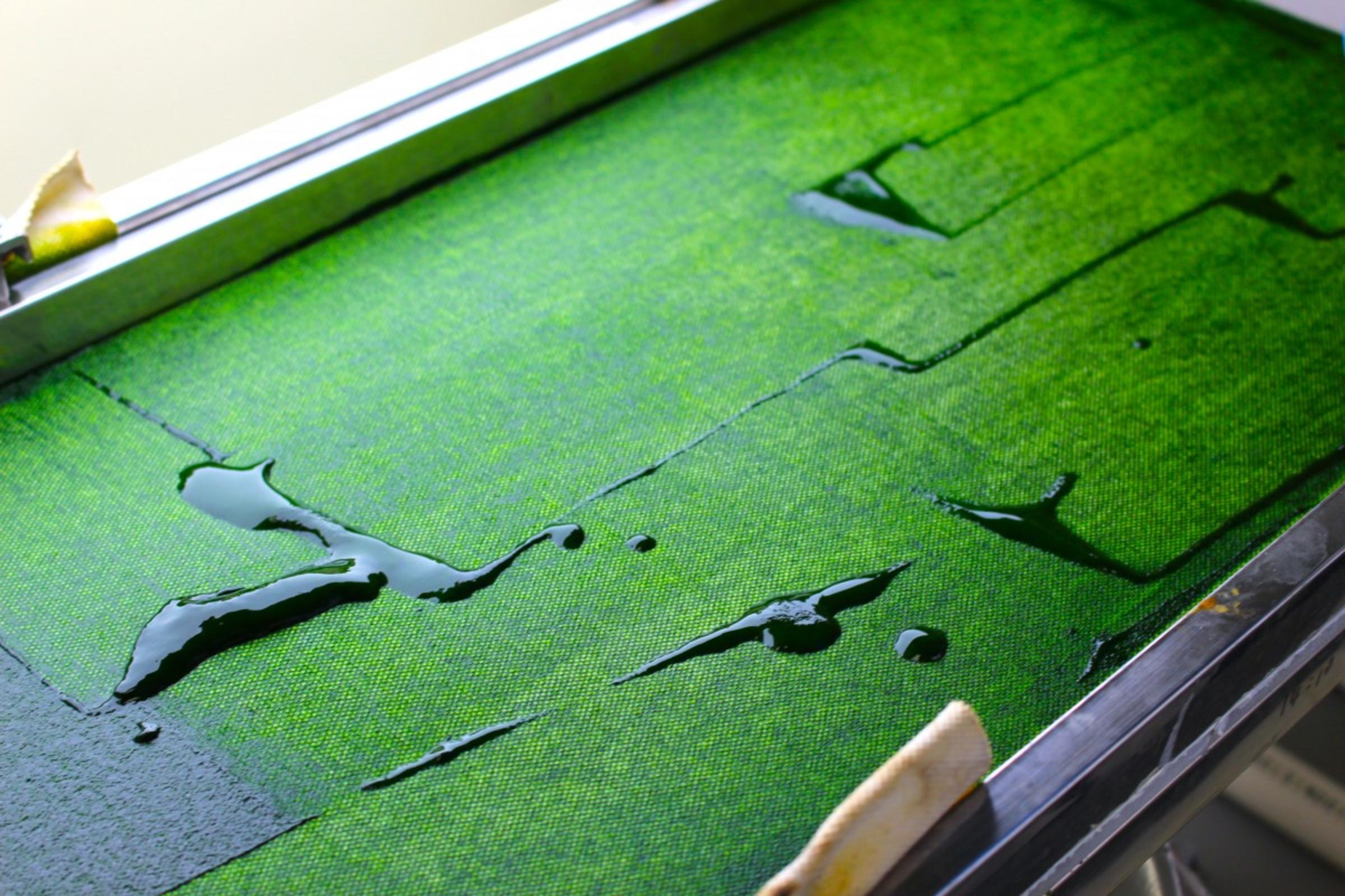 Algae and oil on a lab tray