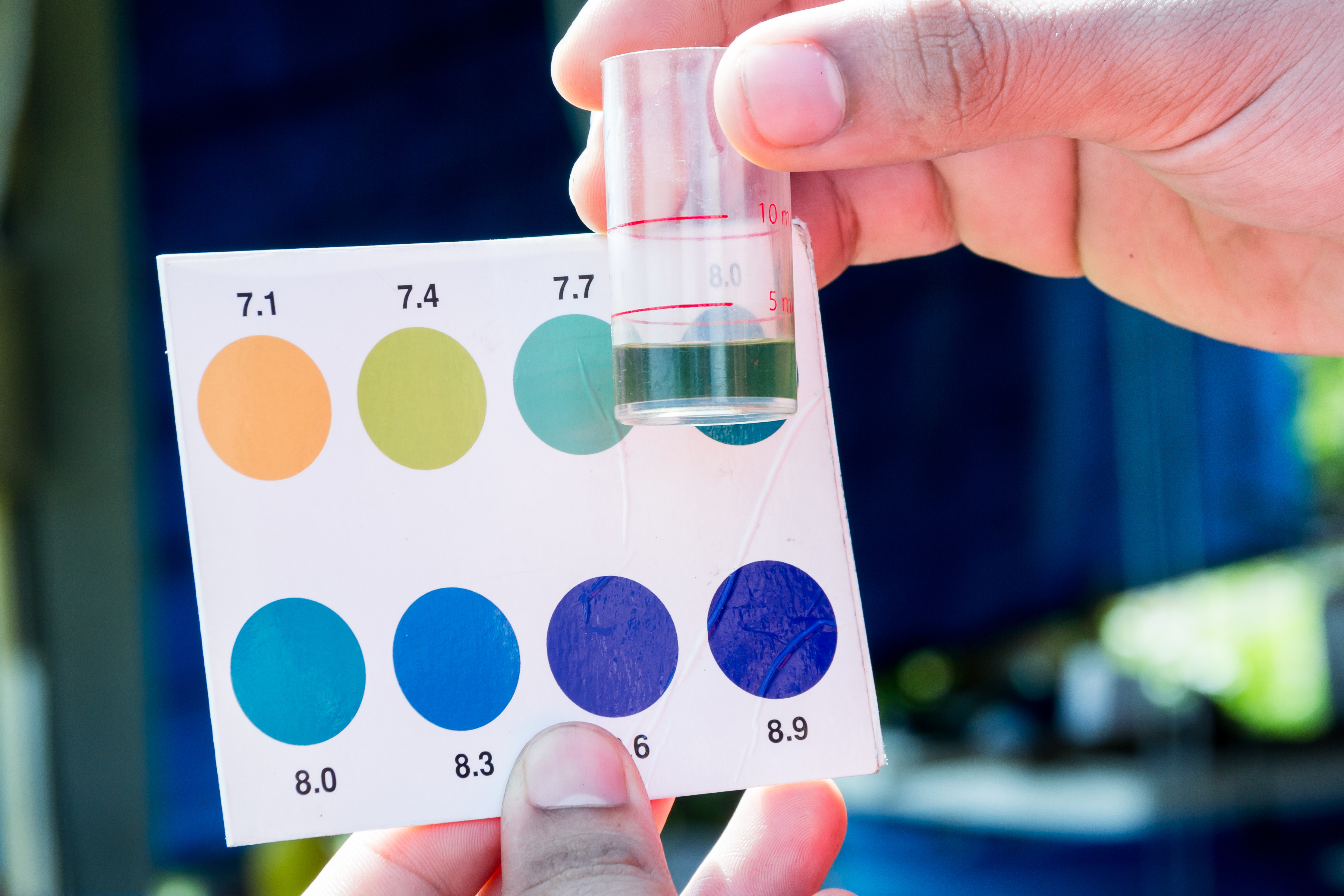 Photo of water pH test