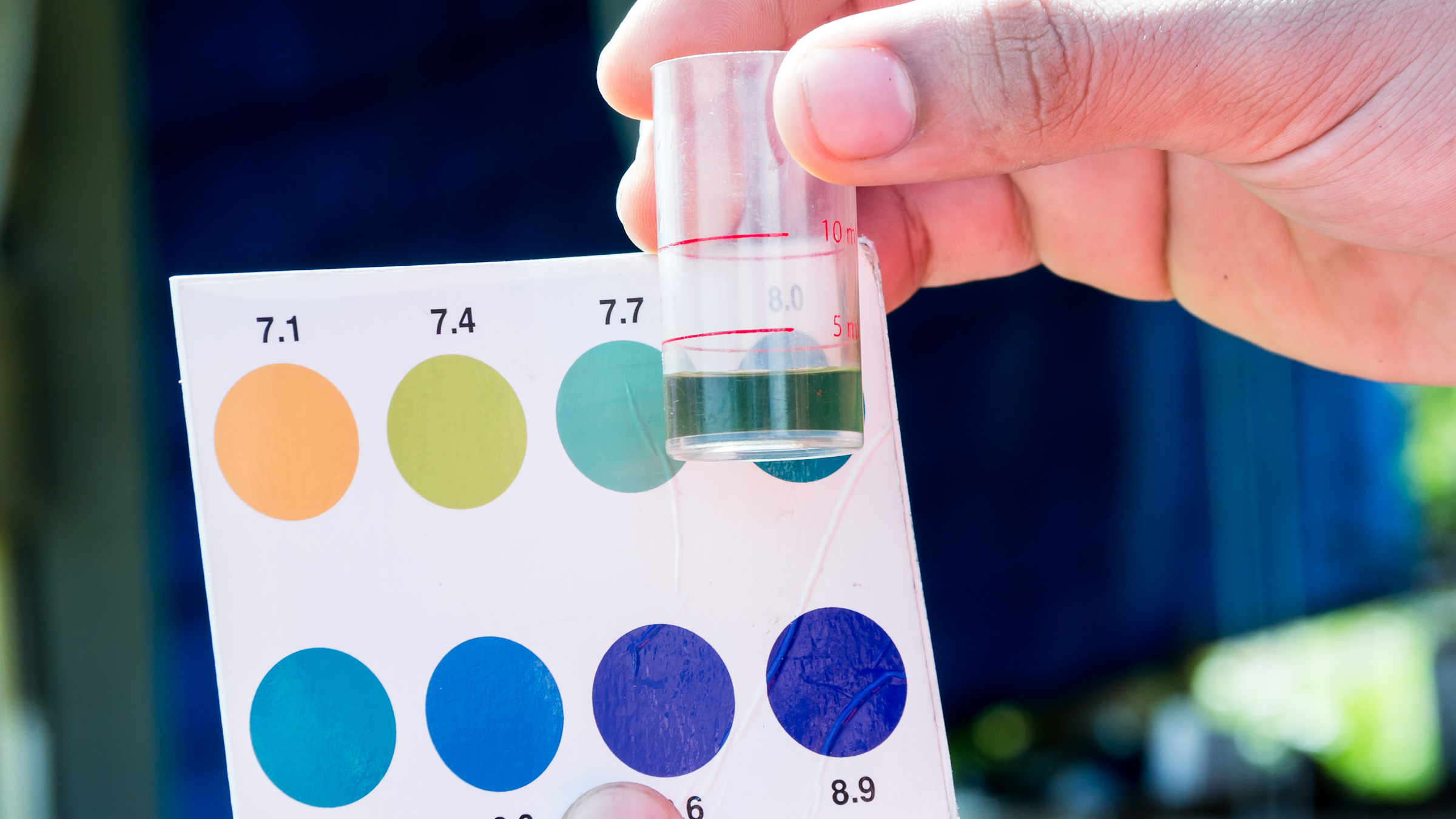 Photo of water pH test