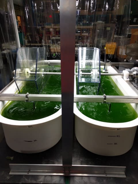 chemical reactors
