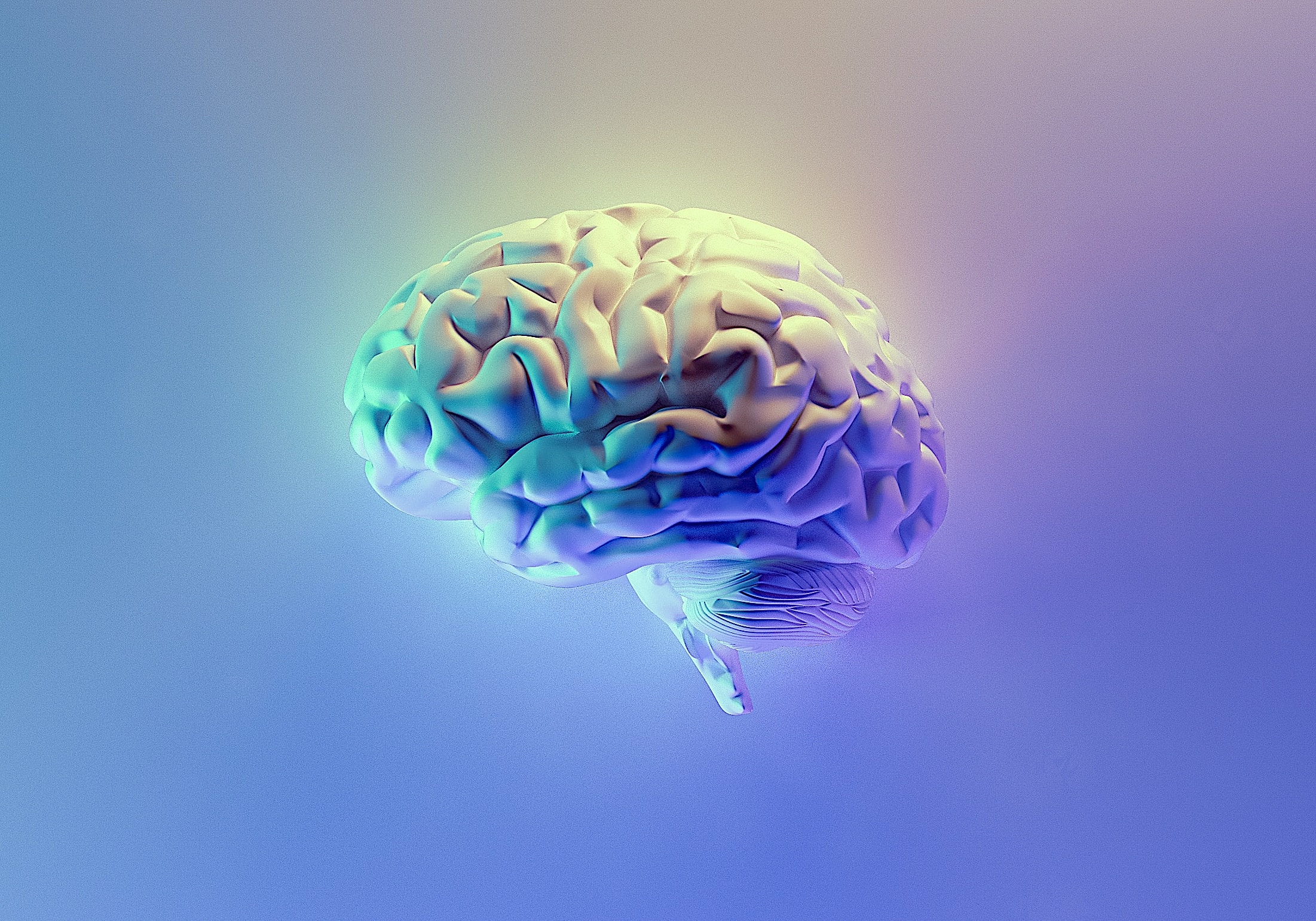 Image of a human brain against a blue background