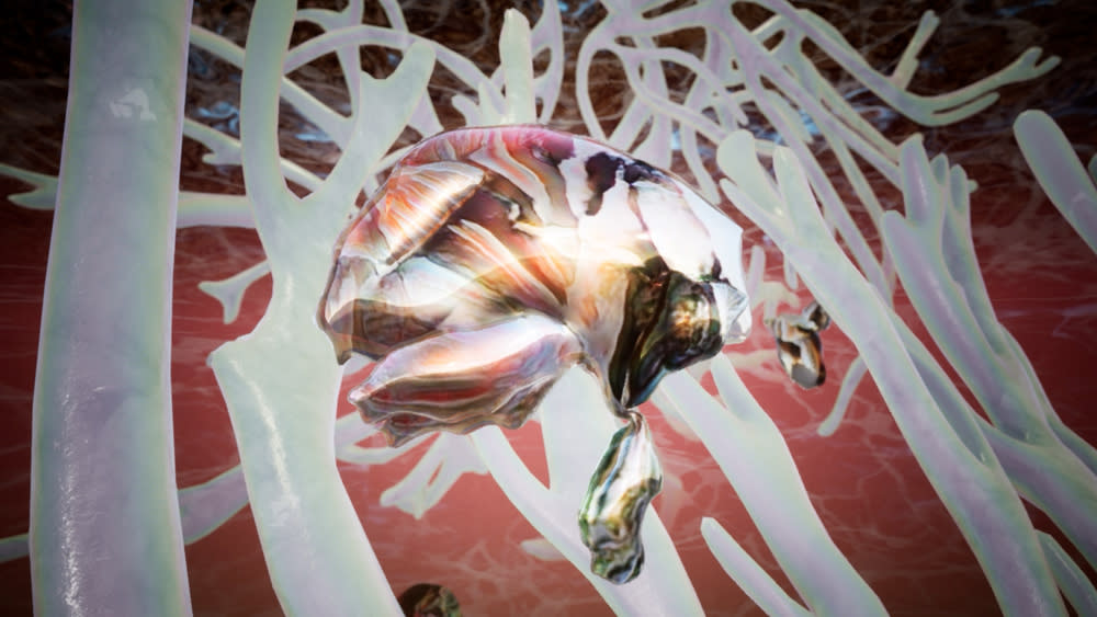 Still from Jonah King's 'Honey Fungus', showing what appears to be a brain within a fungal network