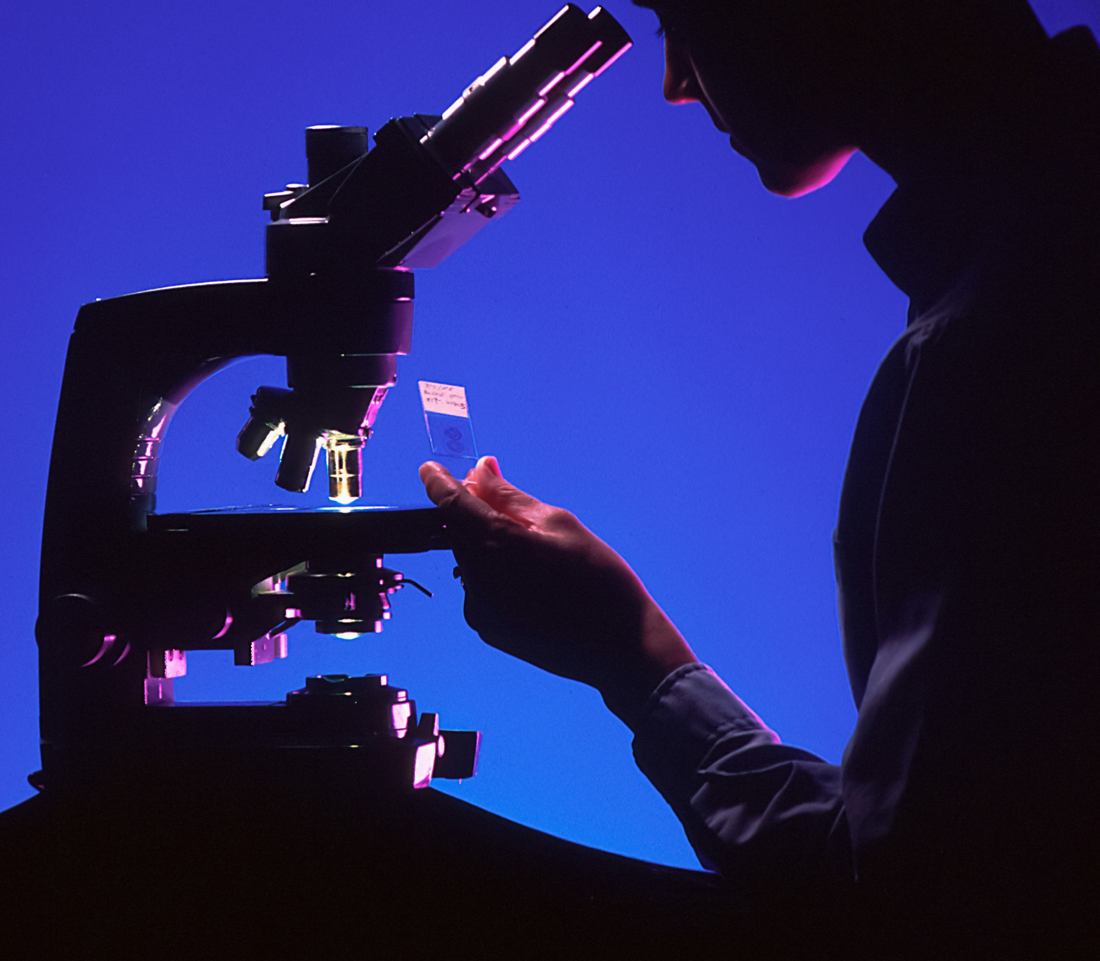 Scientist with microscope examining a slide