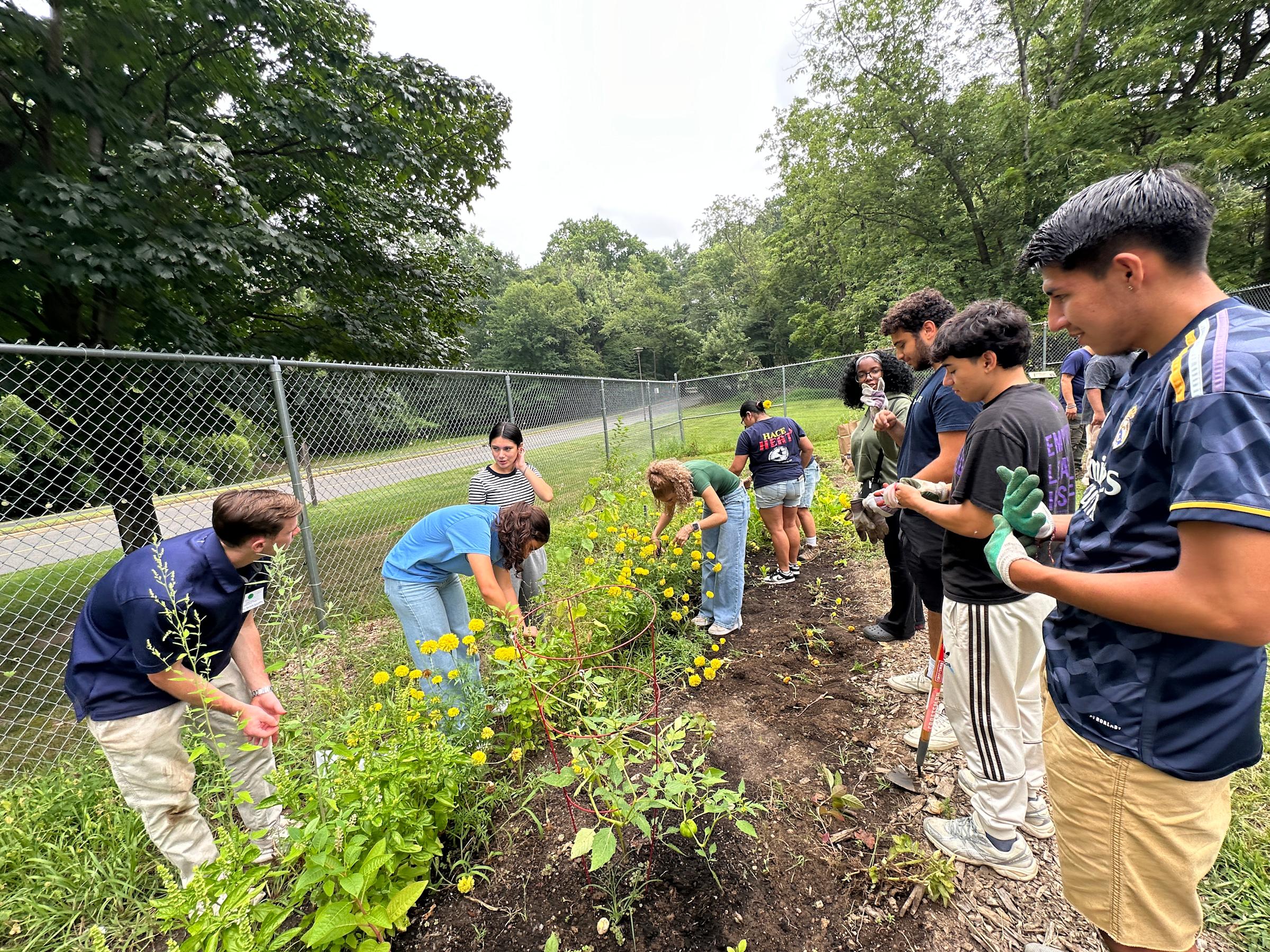 NJDEP Youth Inclusion Initiative
