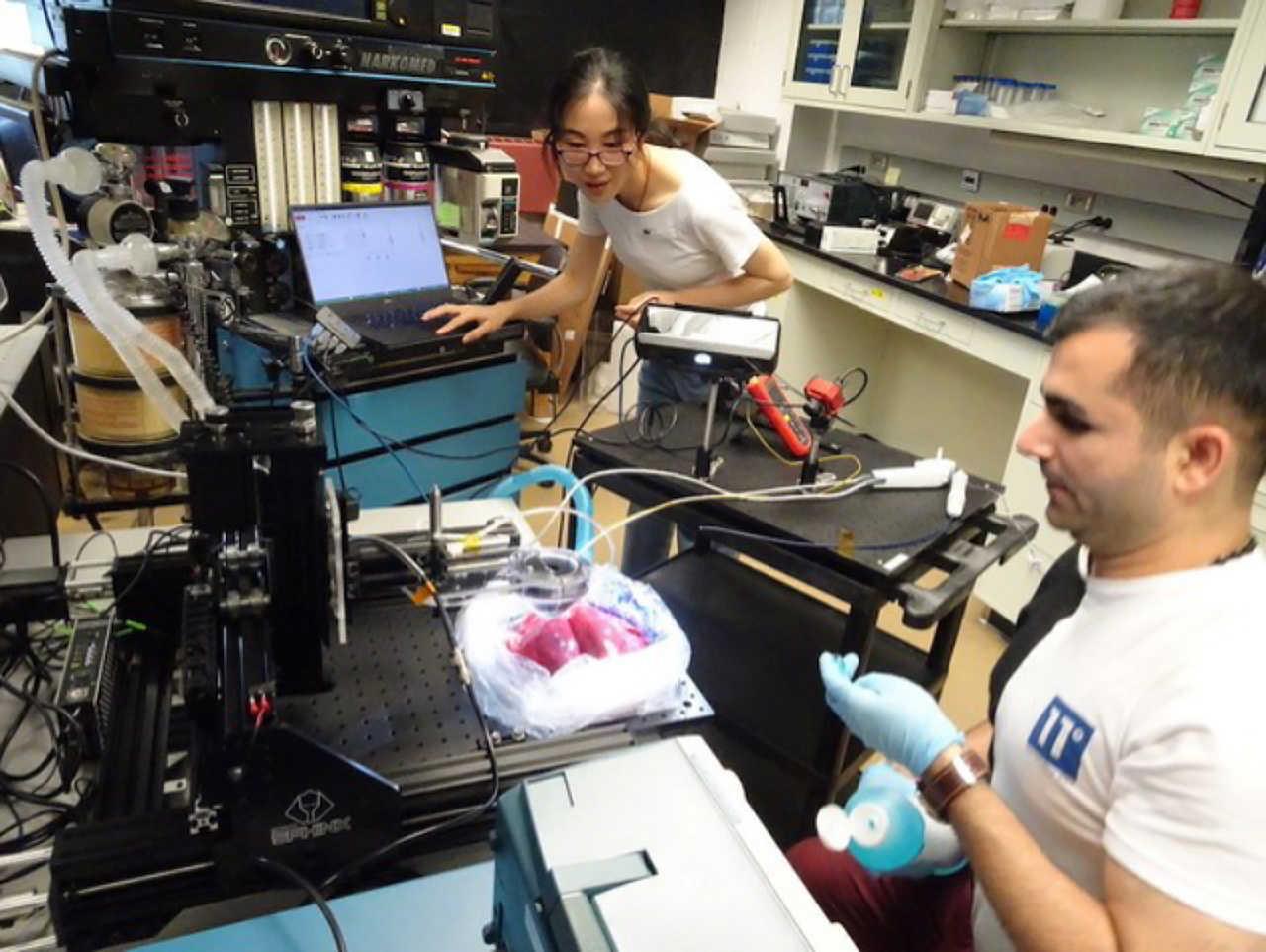 Mohammad and Jiawen working with swine lungs in the lab.