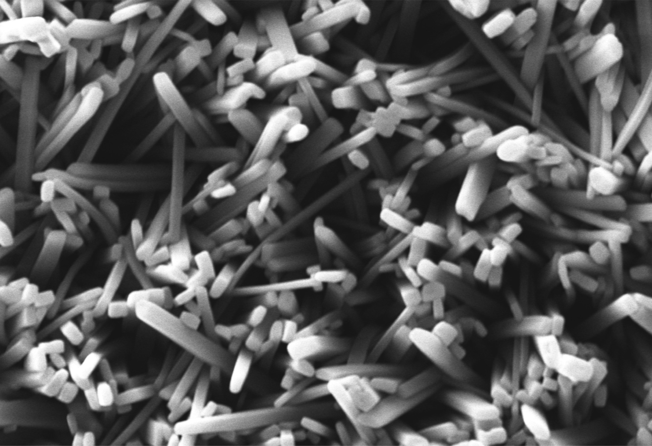 image of light harvesting crystals