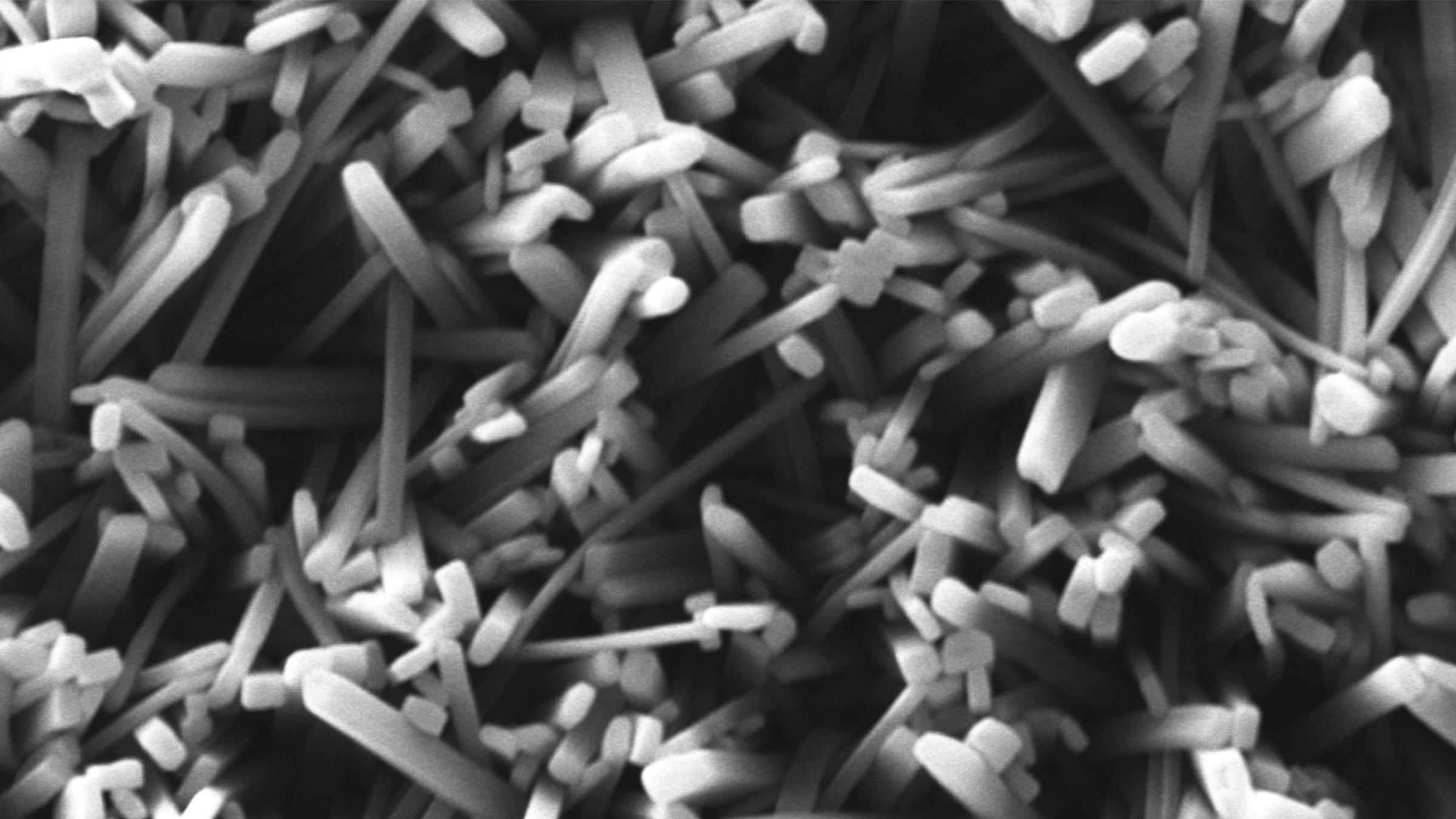 image of light harvesting crystals