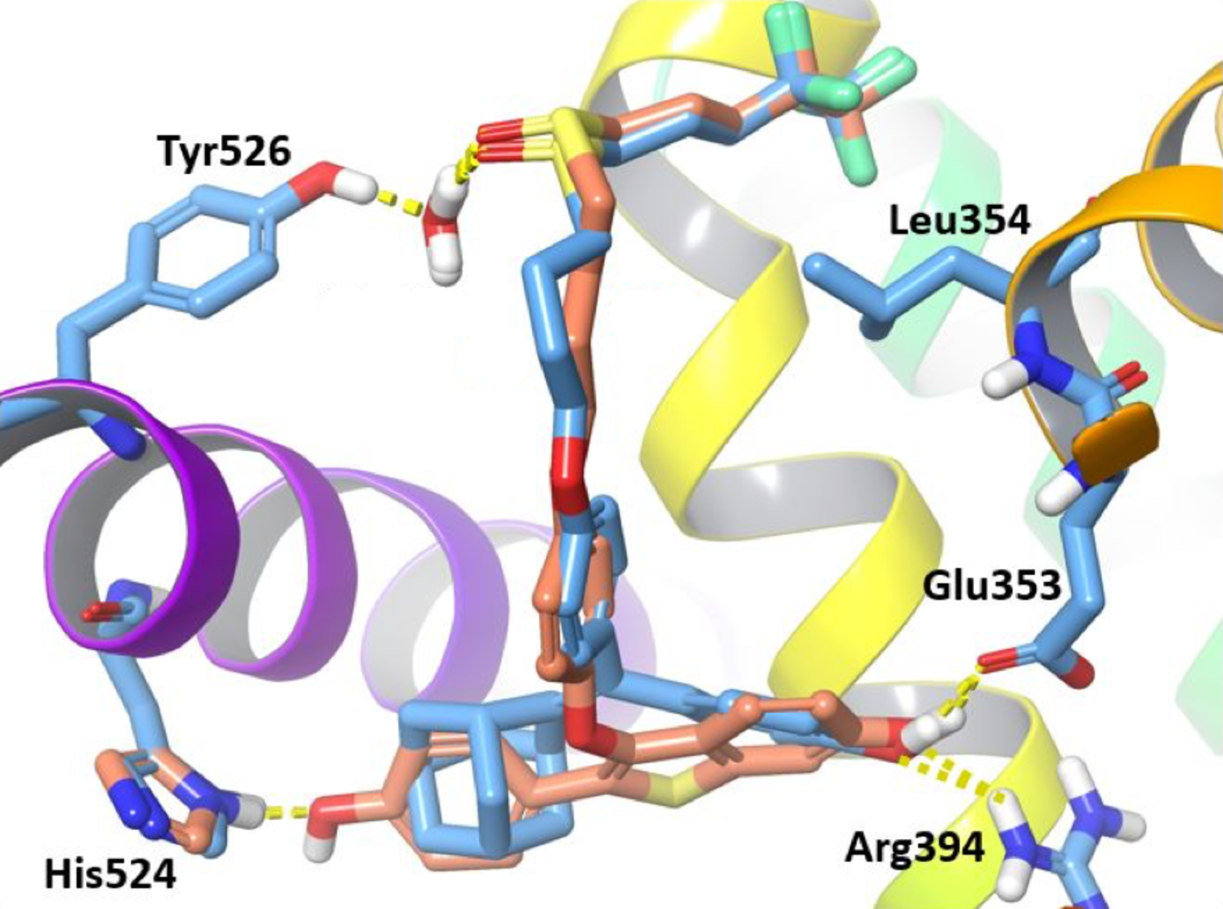 b65d16139c59290c467c9a932aa33000