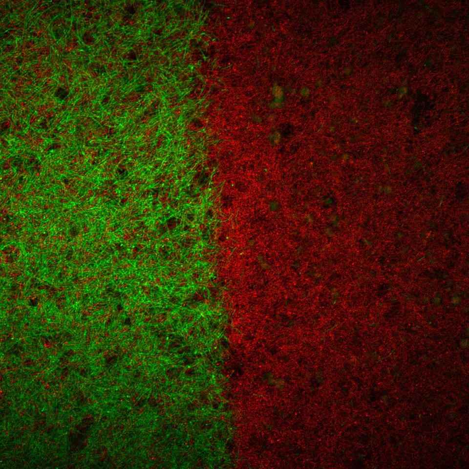 A half-half slide: green on left, red on right. 