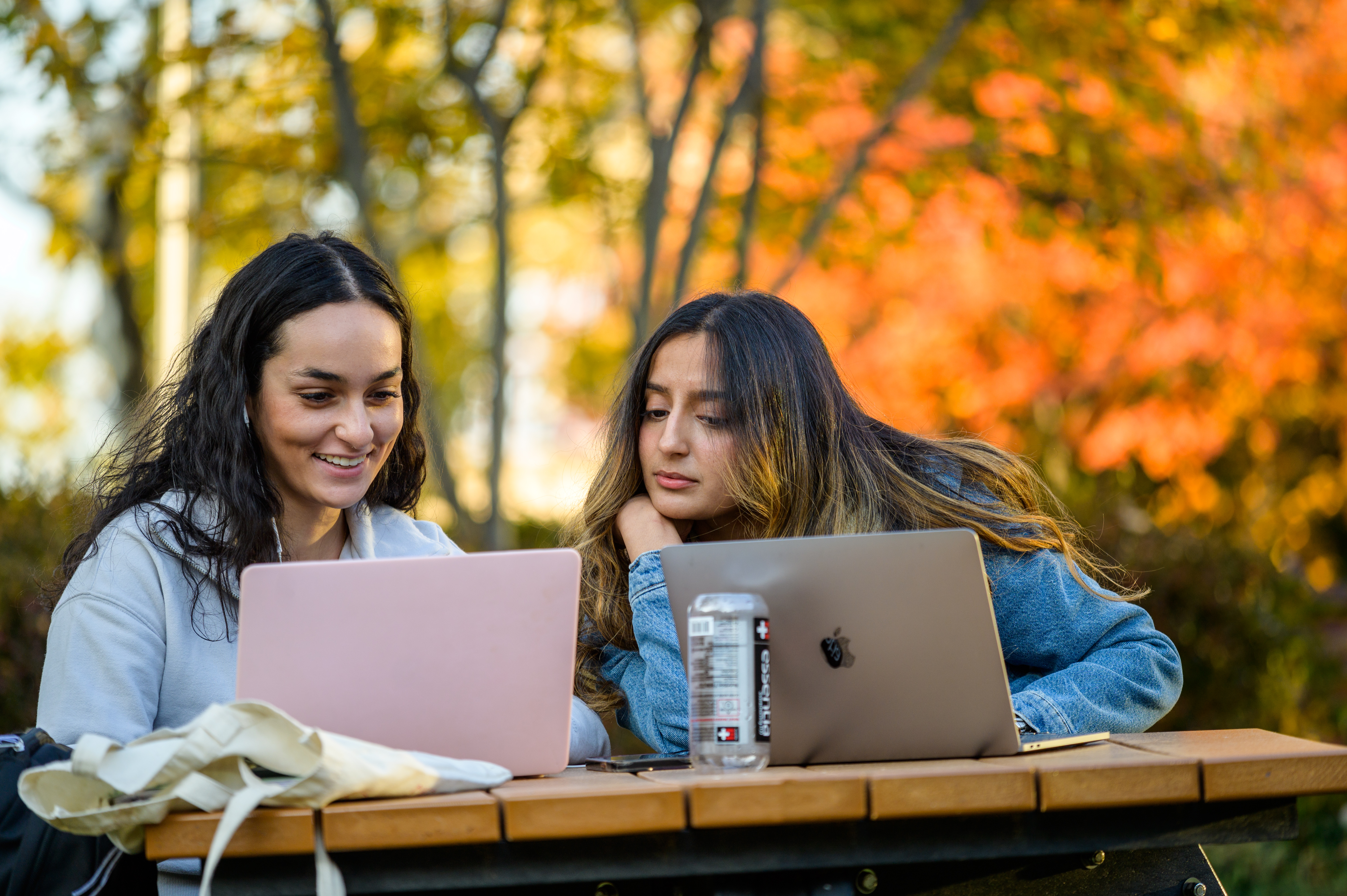 Female Students working on laptops
