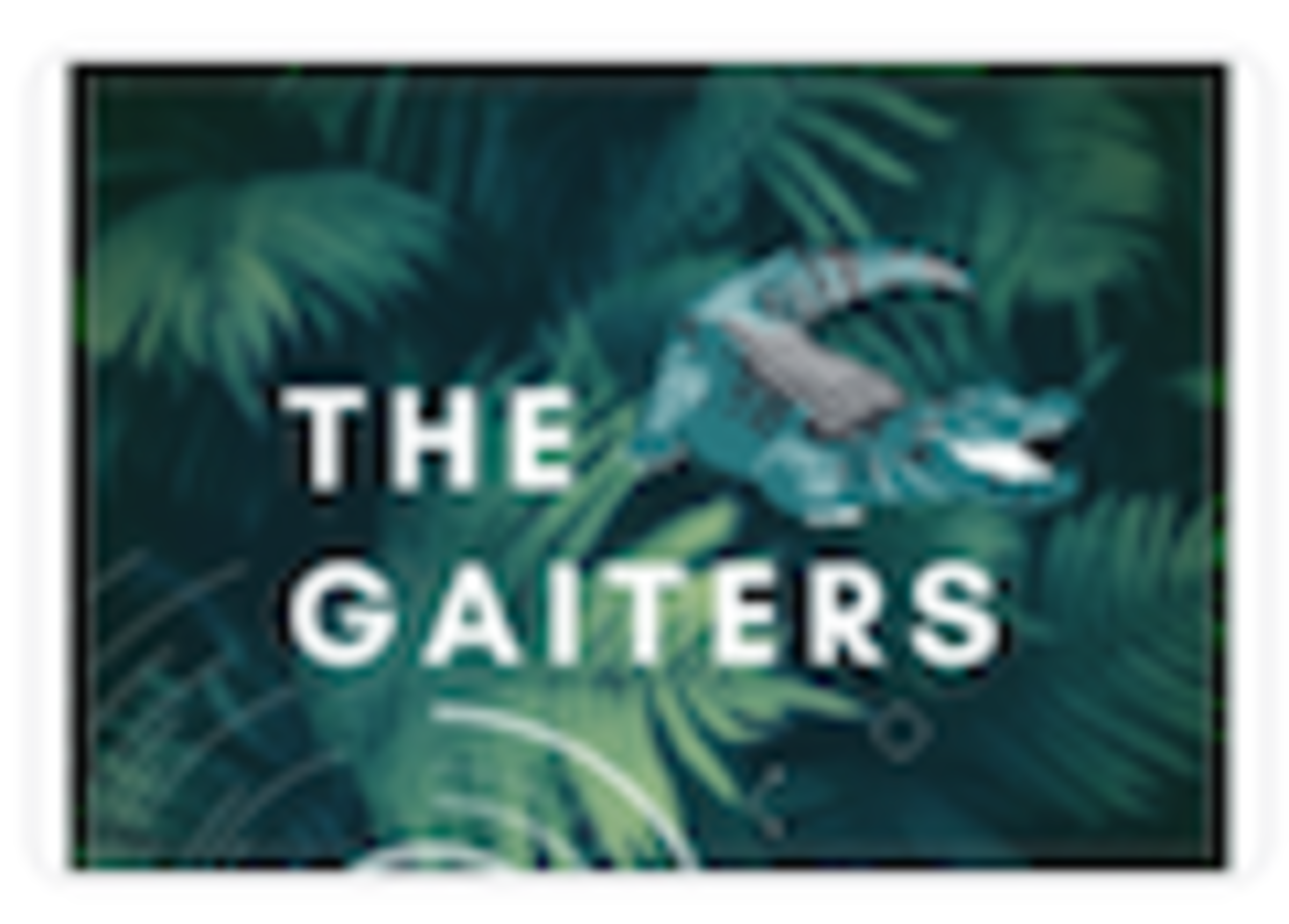 TheGaiters