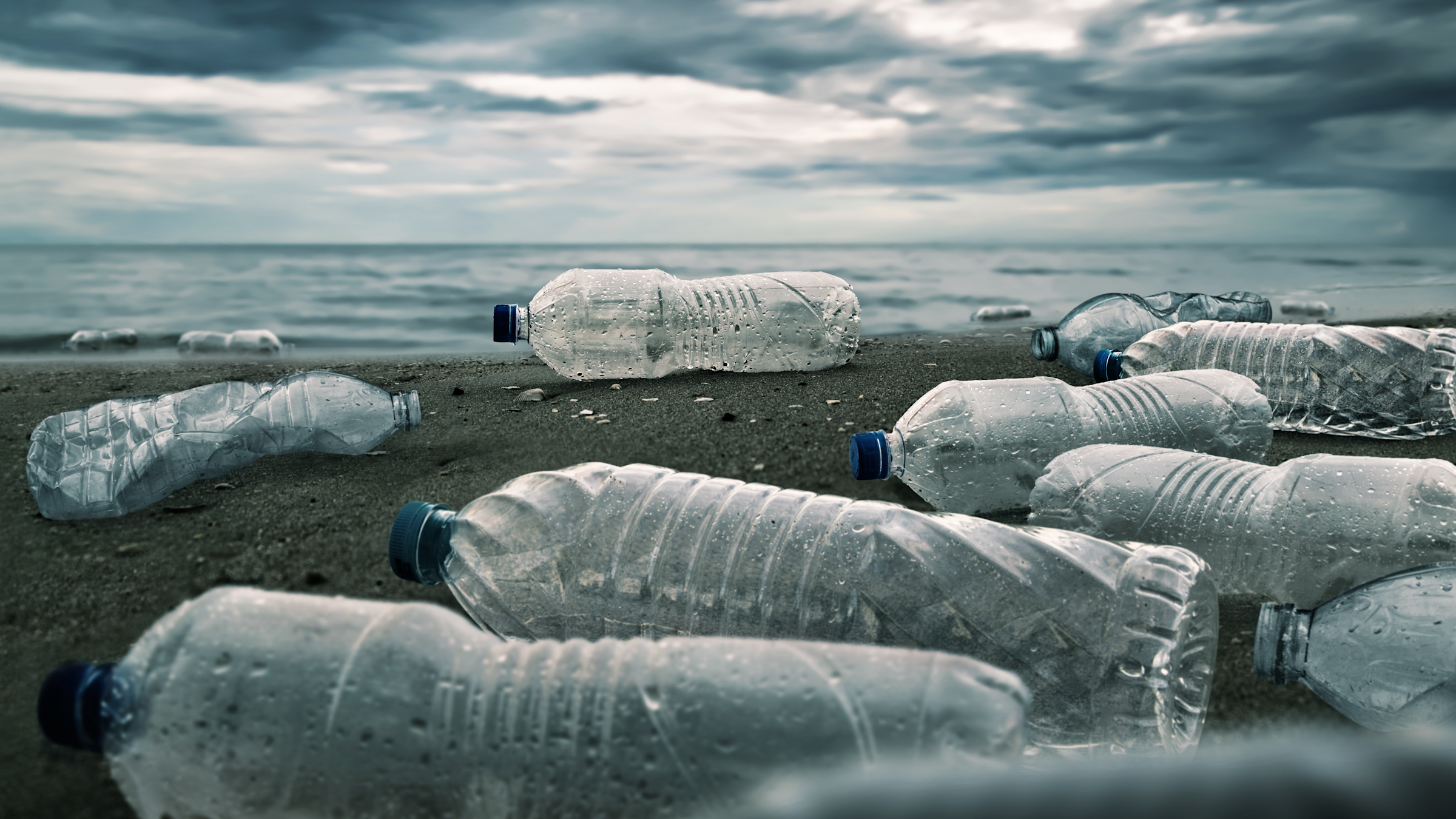Plastic water bottles on a beach