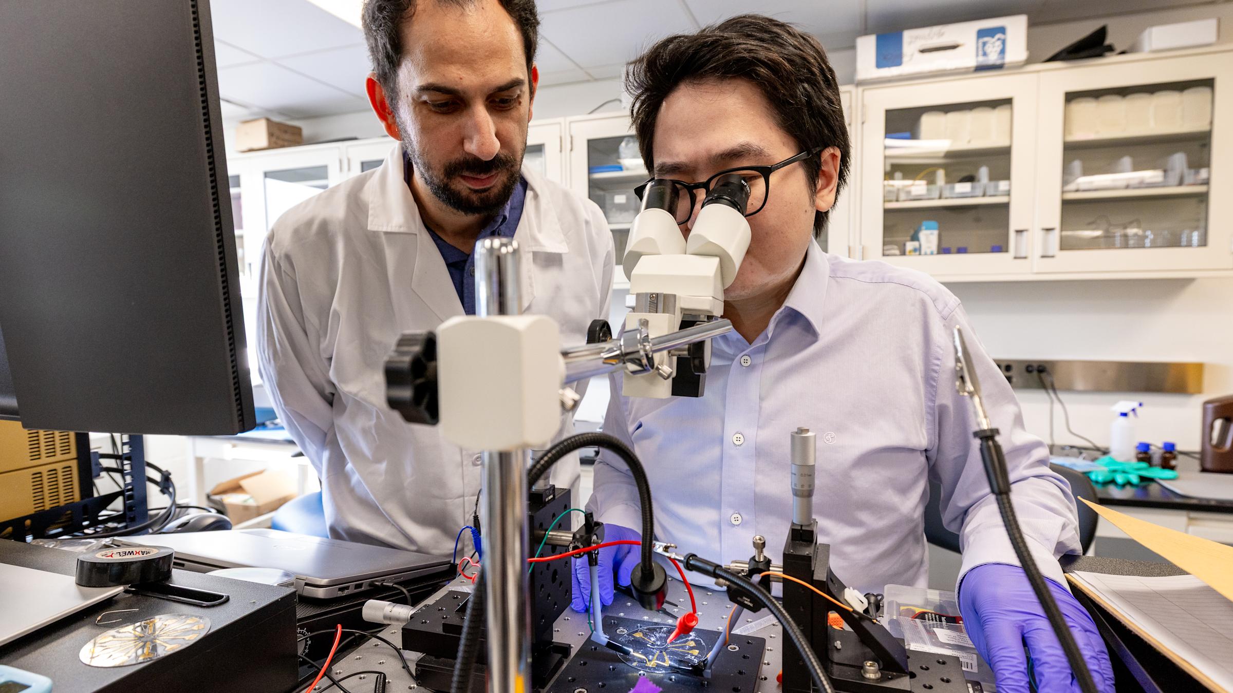 A researcher and a student looking through a device in a lab.