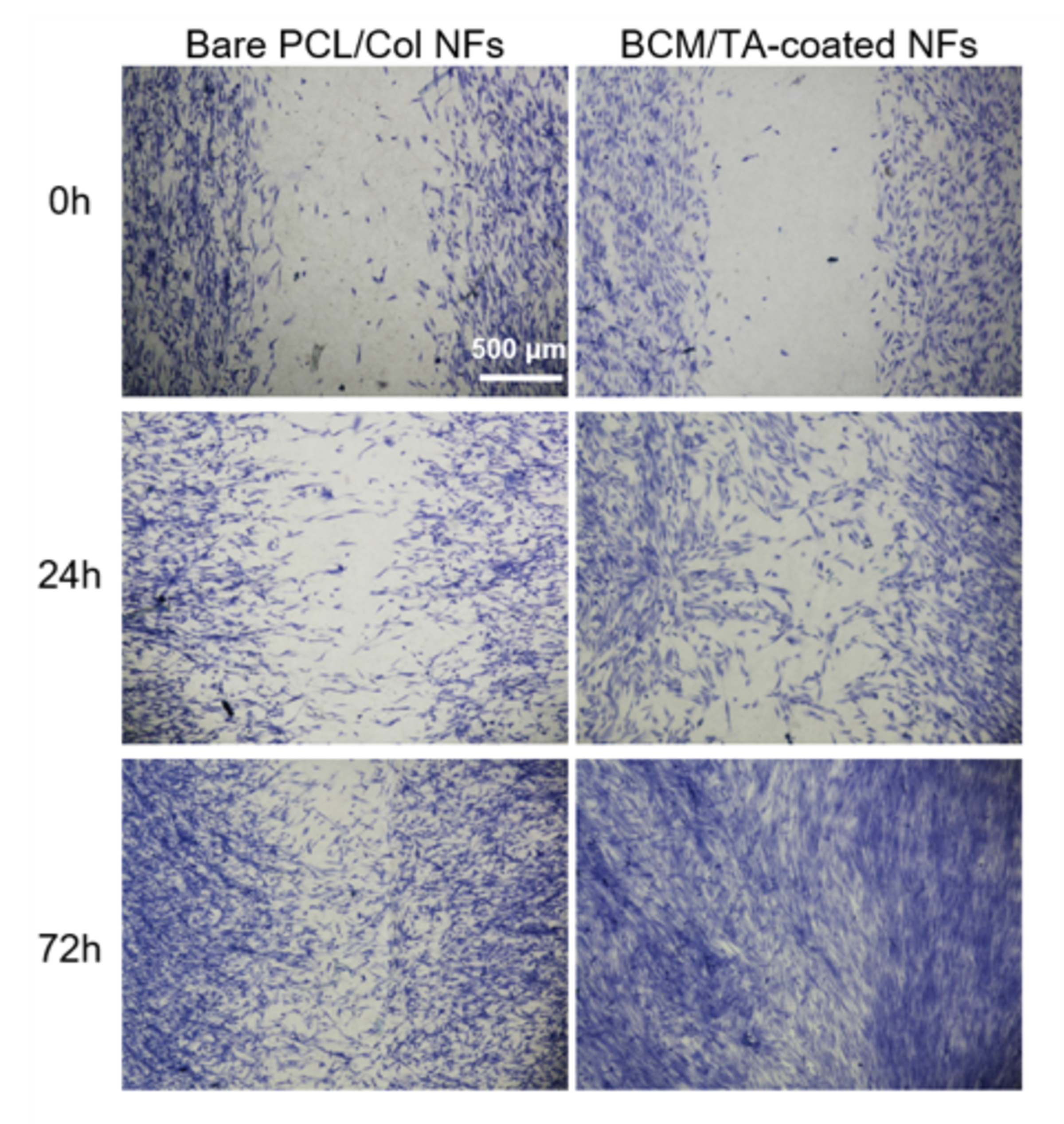 dfccb97ed3cc2bd6f739646d517d0eb8