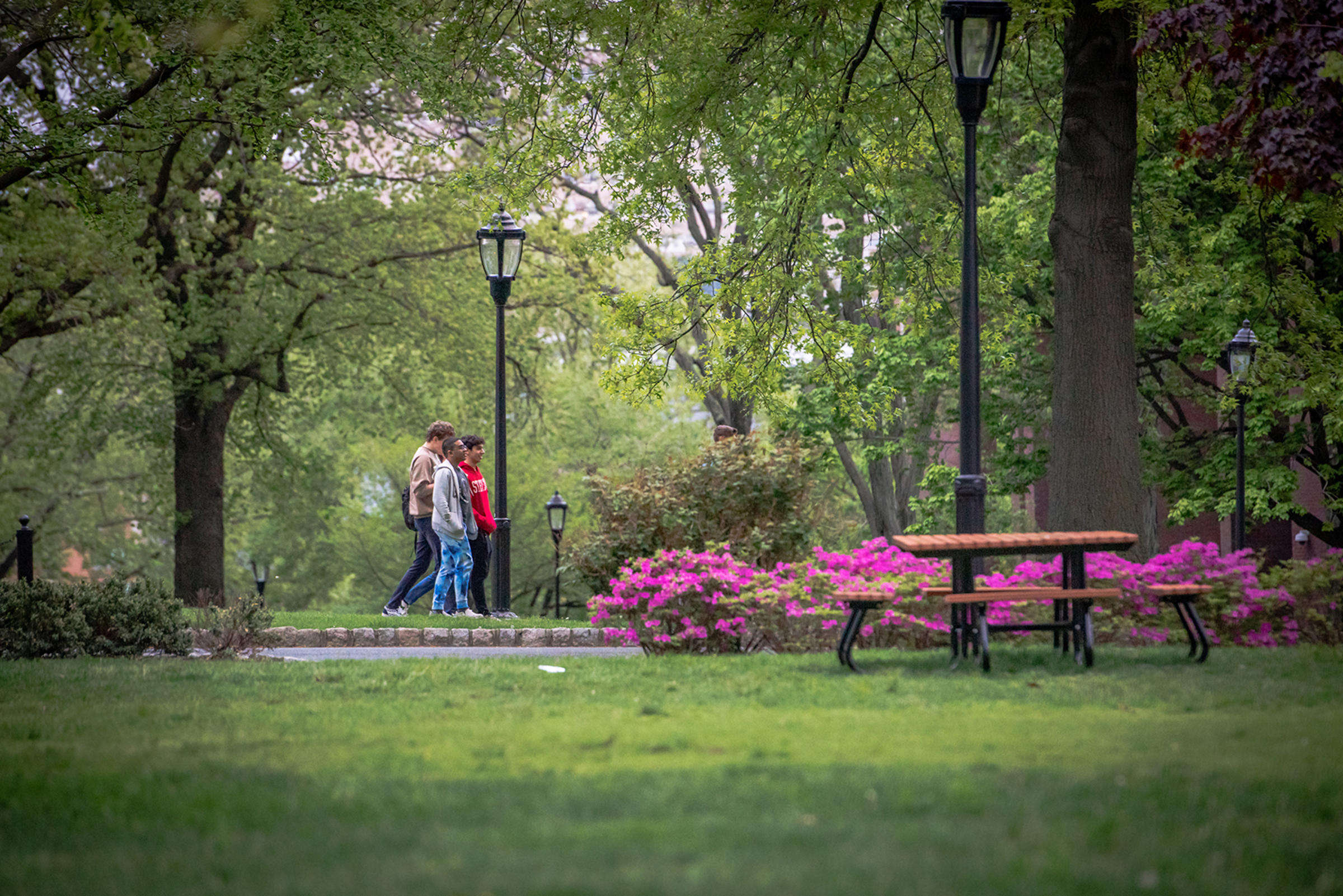 Students walking through campus in Spring