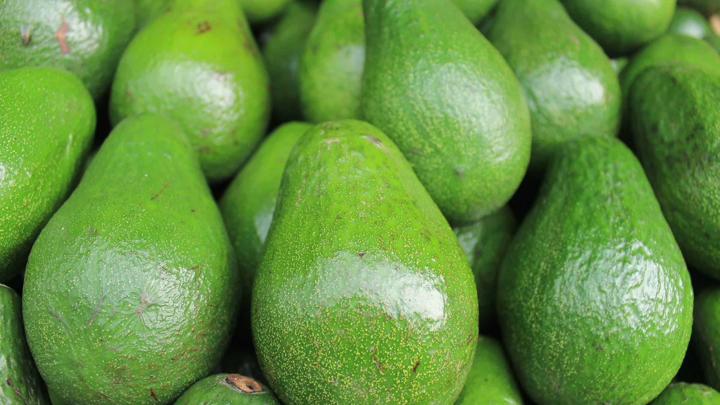Avocados