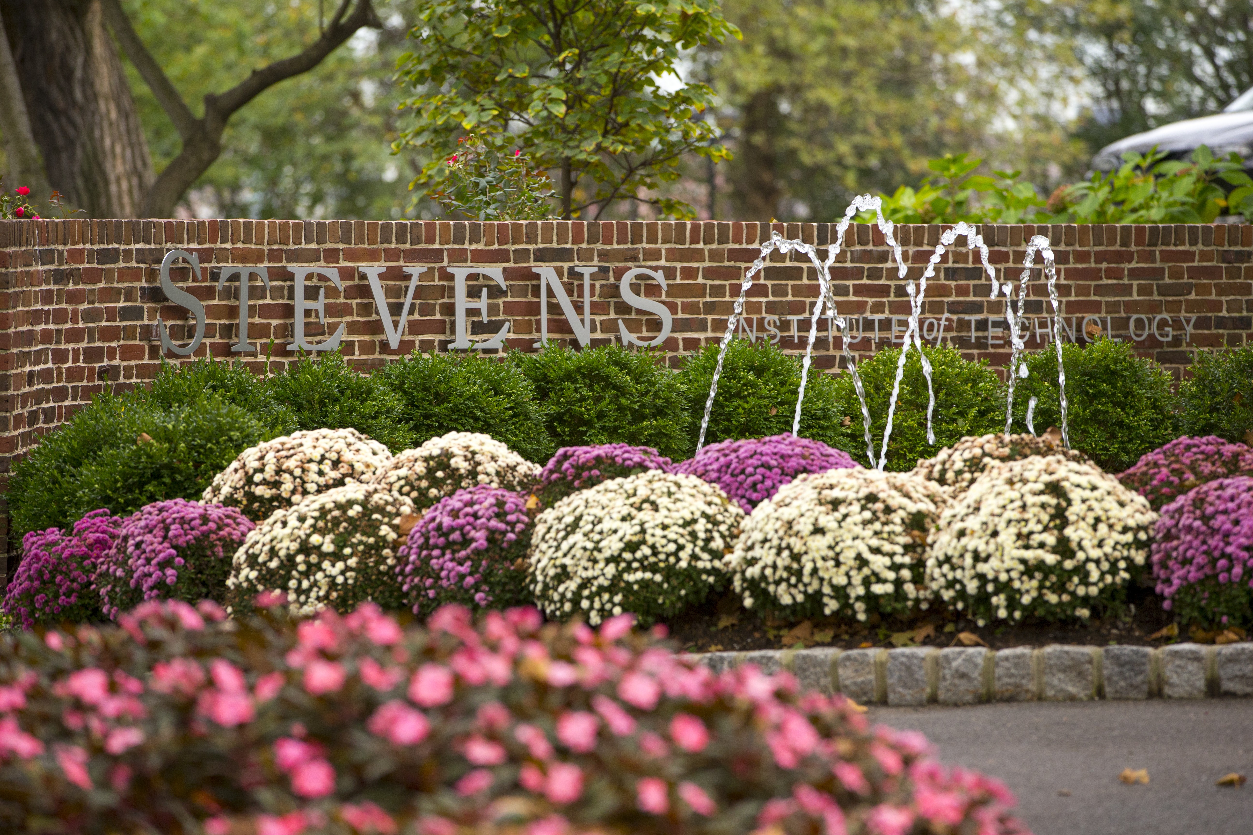 e64858e0c8b5084959837c5b026219ab