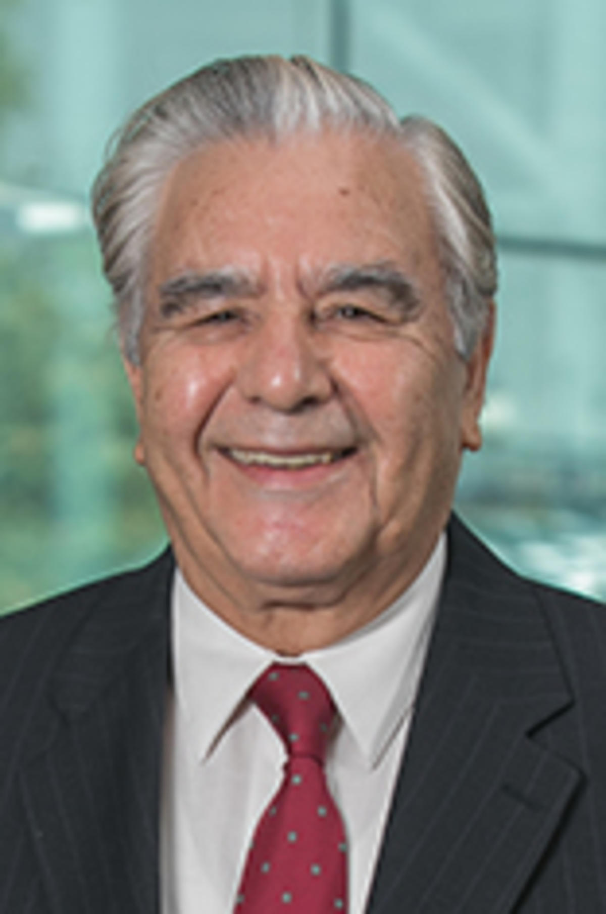 Headshot of Mahmoud Daneshmand in a dark suit with New York City in the background.