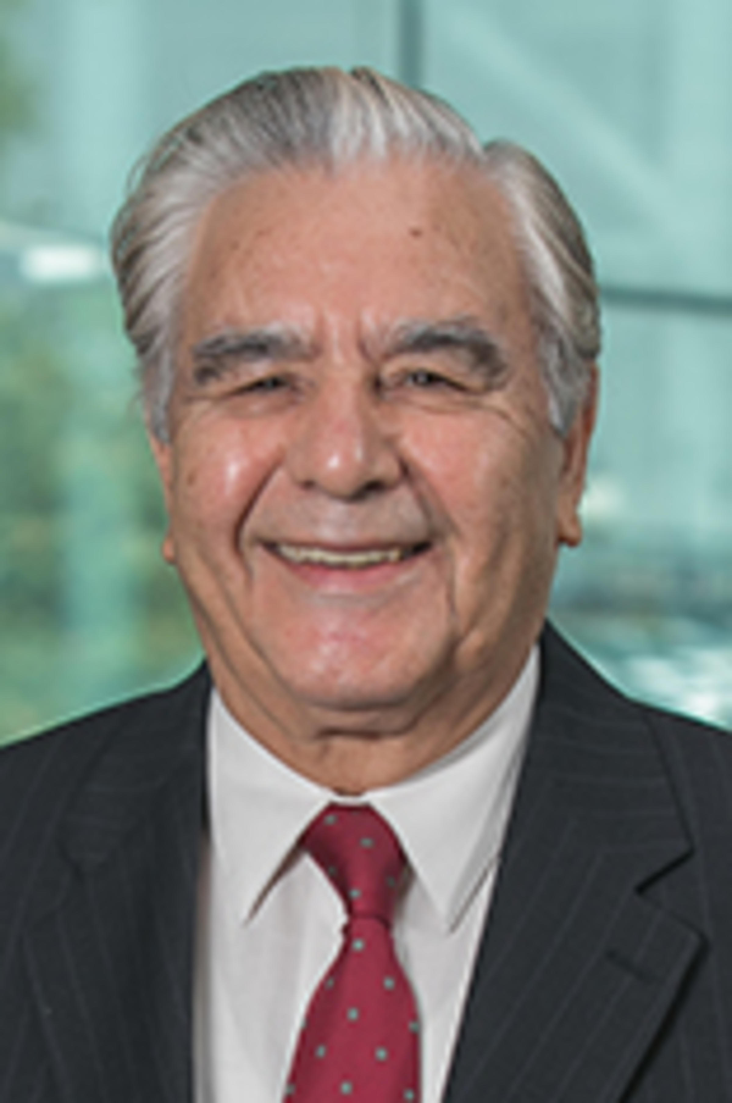 Headshot of Mahmoud Daneshmand in a dark suit with New York City in the background.