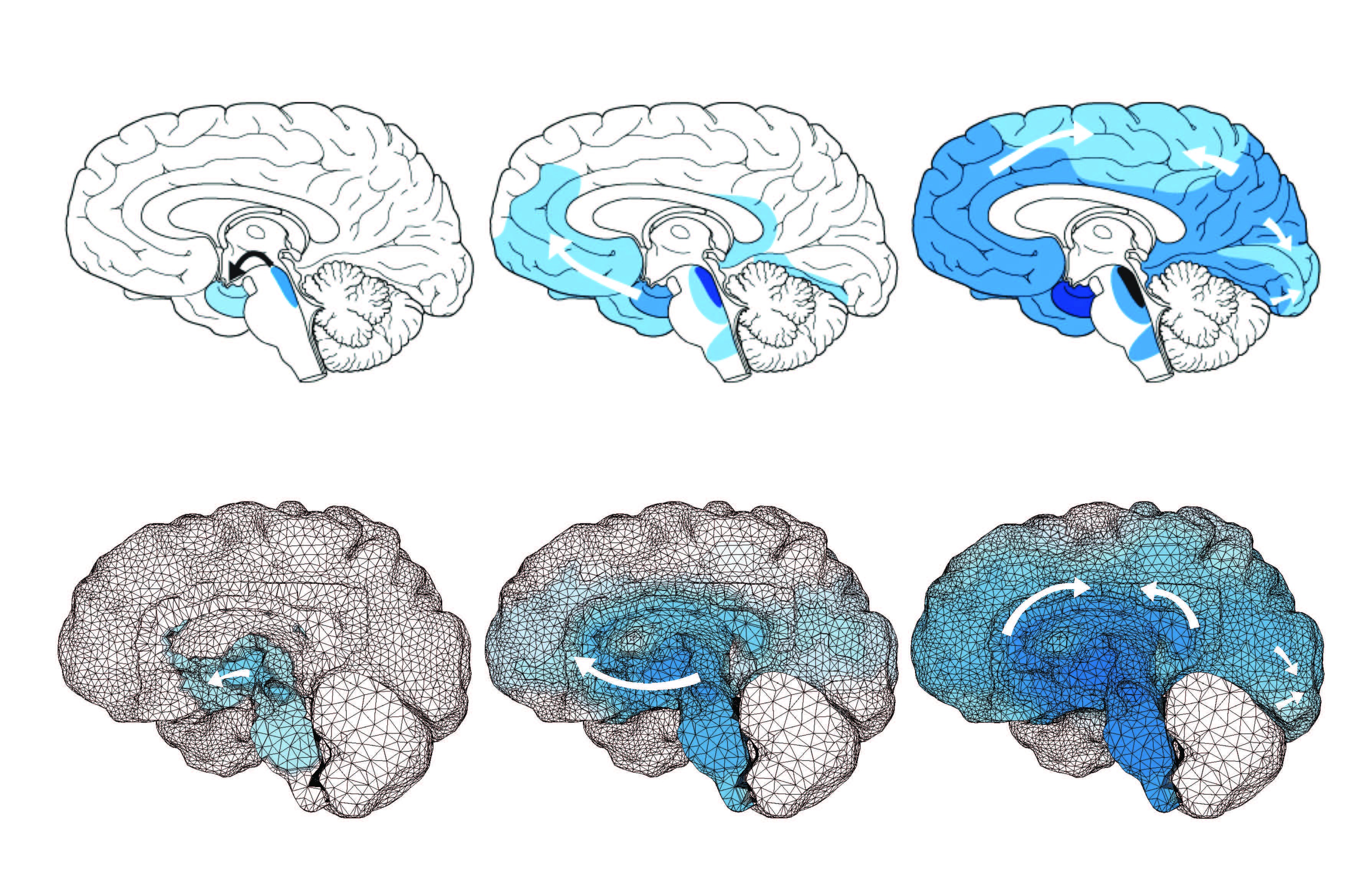 ecc786c317eaa0c8fa0f541403434f69