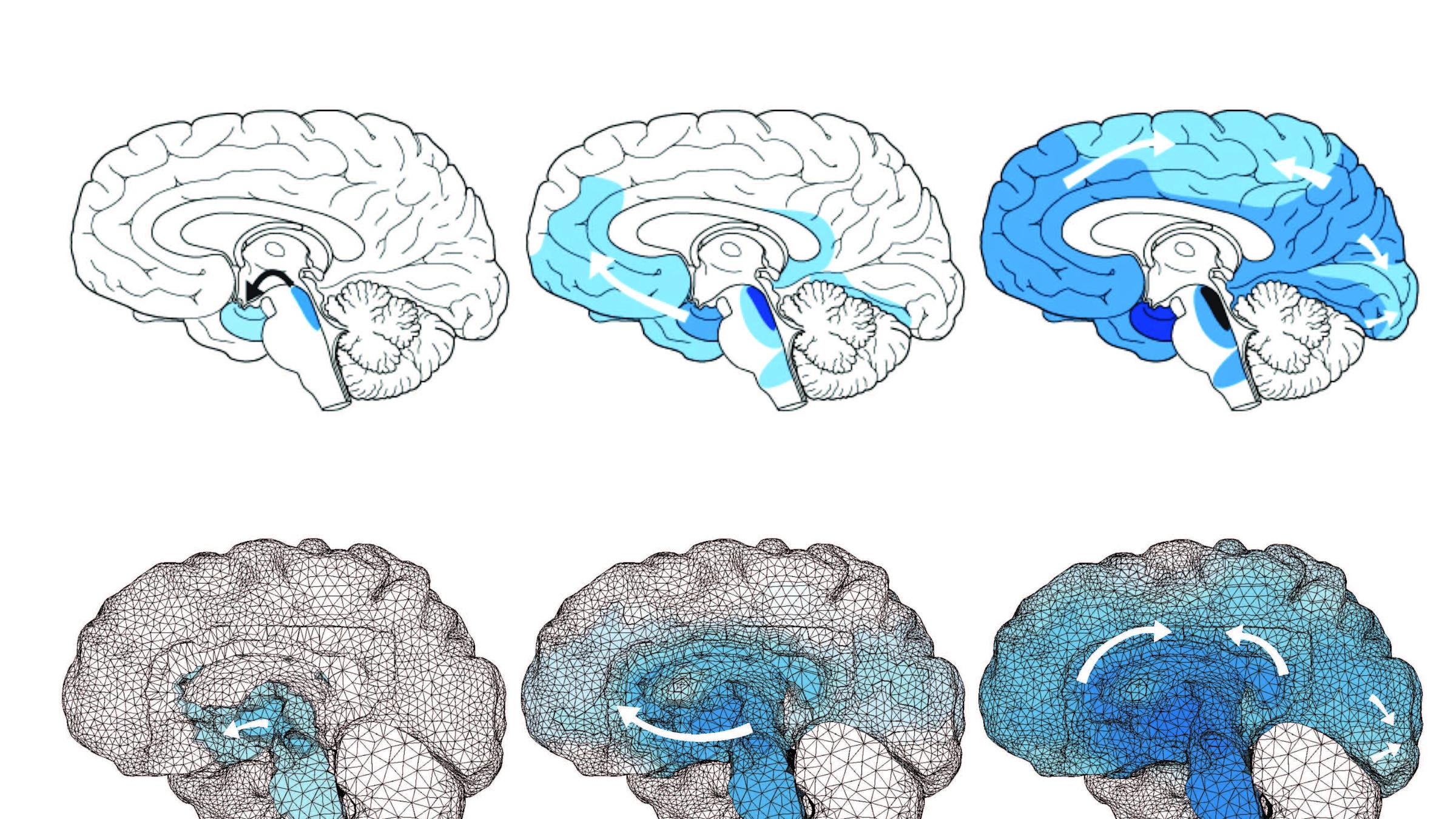 ecc786c317eaa0c8fa0f541403434f69