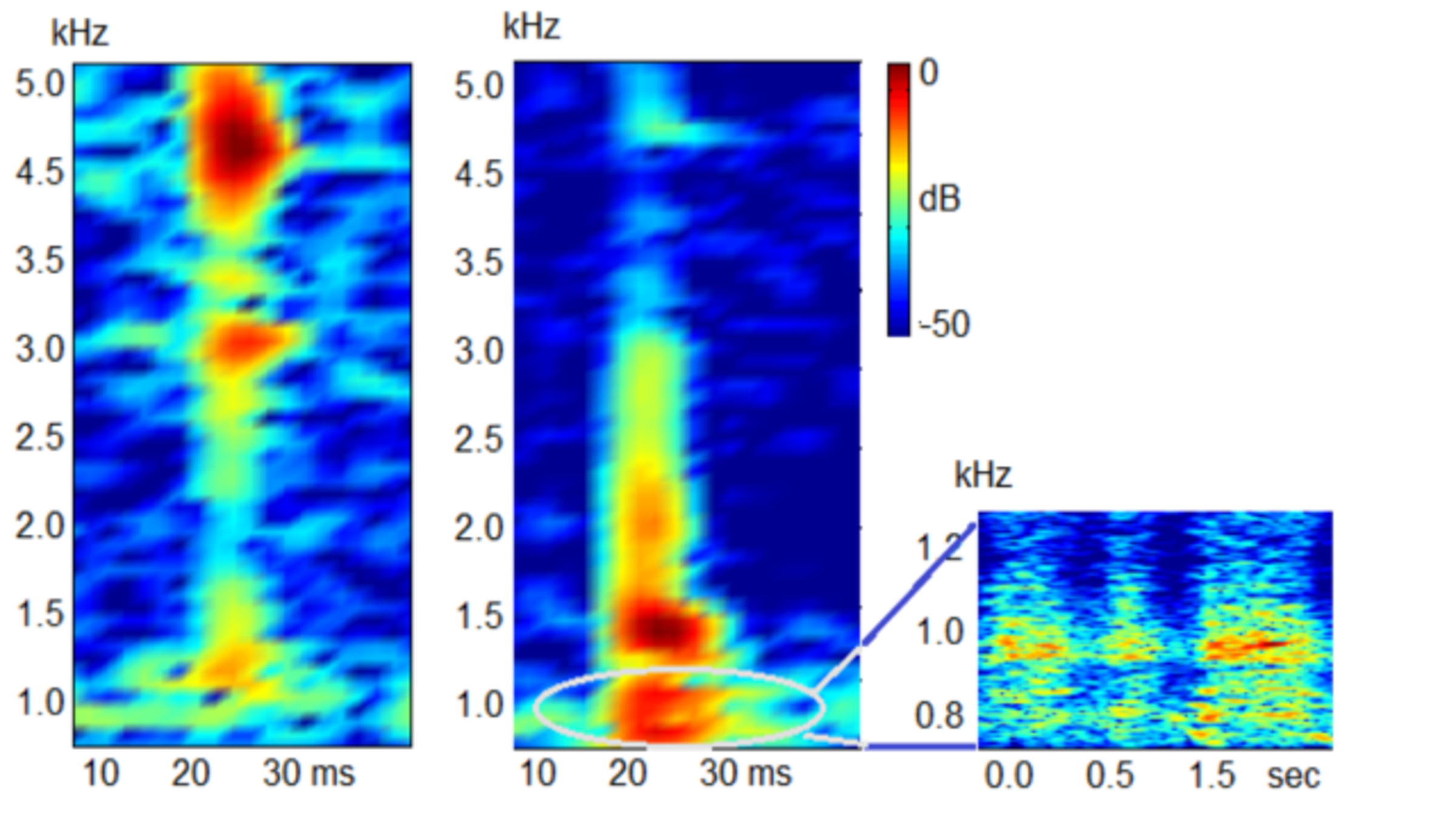 Sound graph showing larval vibration sounds of 2 insect species