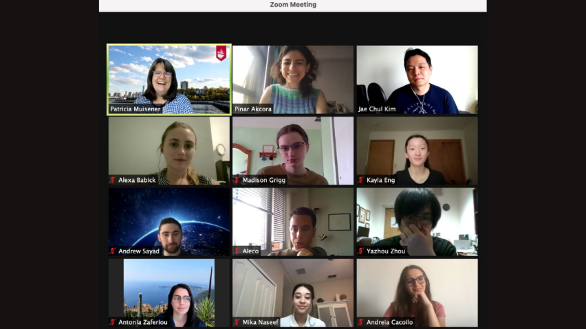 Zoom screenshot of REU/RET meeting