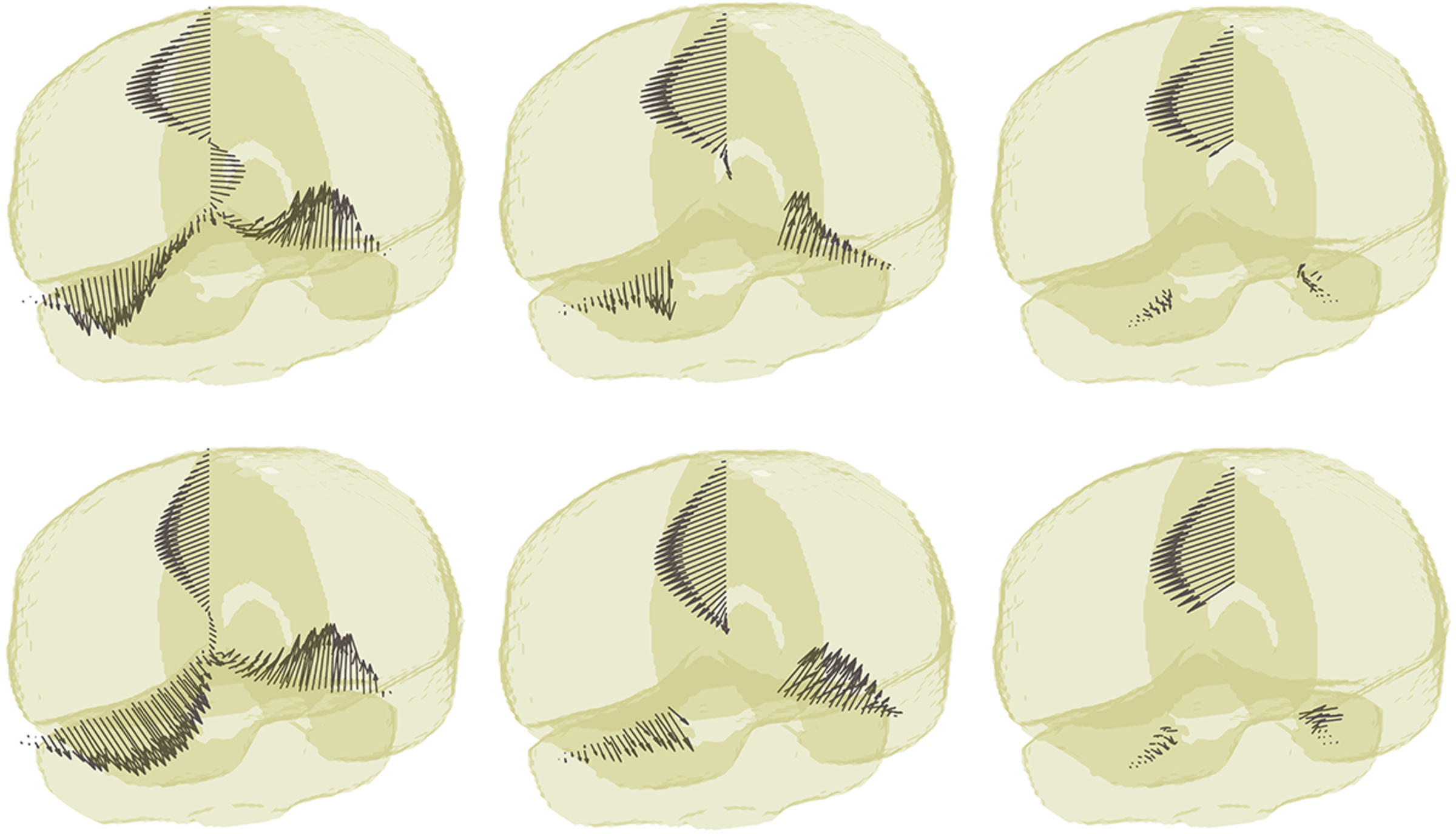 ff05f36010da185ae29bb01883d3d838