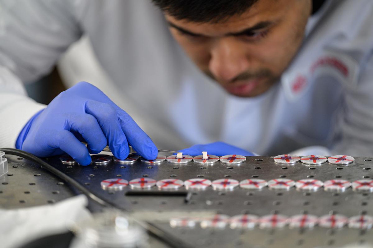 A student researcher does careful research in a lab.