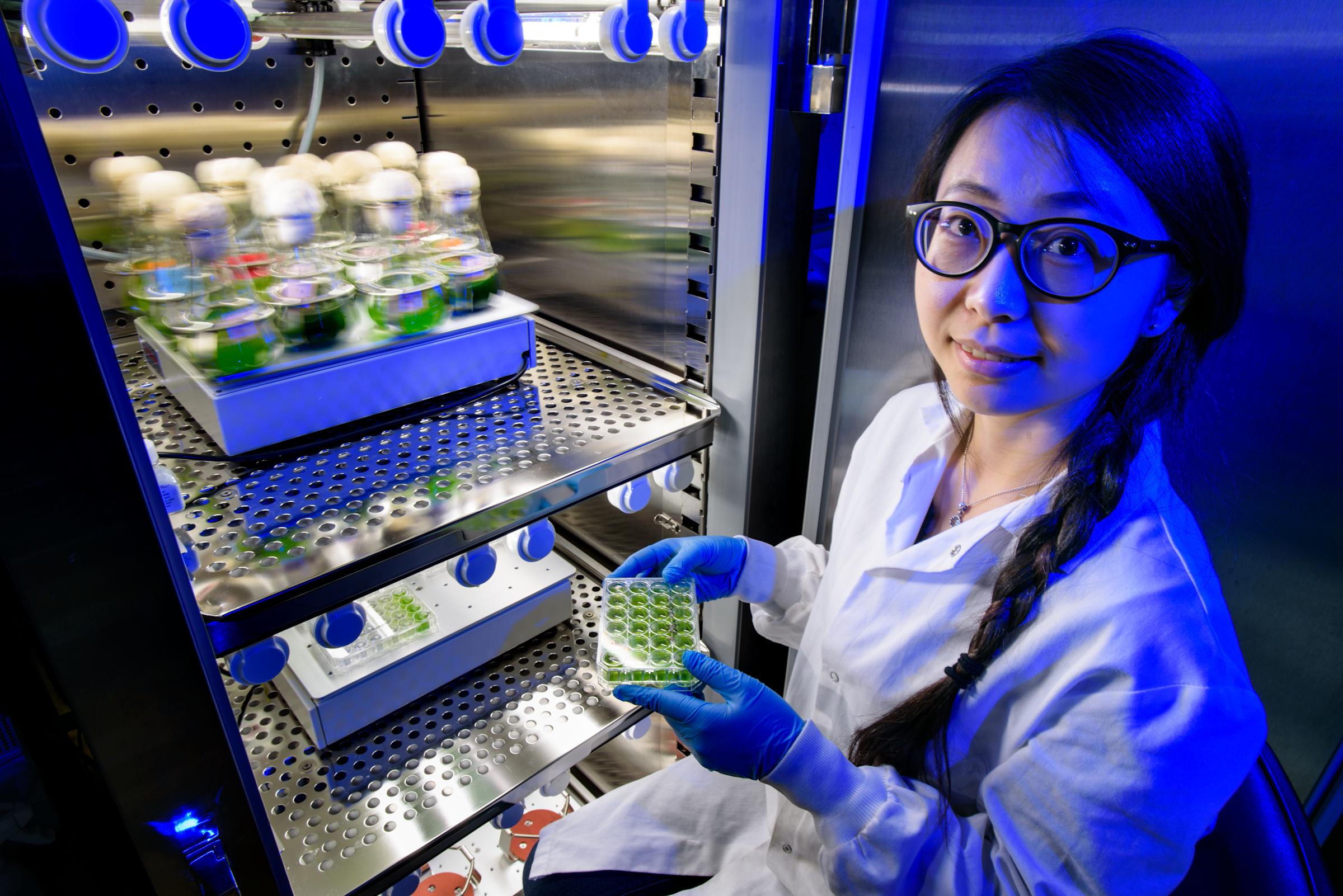 Student holding beaker of algae in purple-lit lab