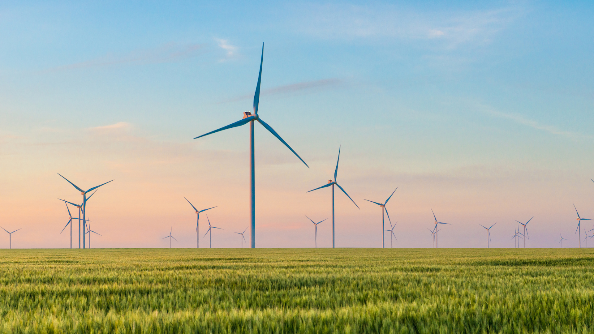 A field of windmills against a cloudy blue sky.