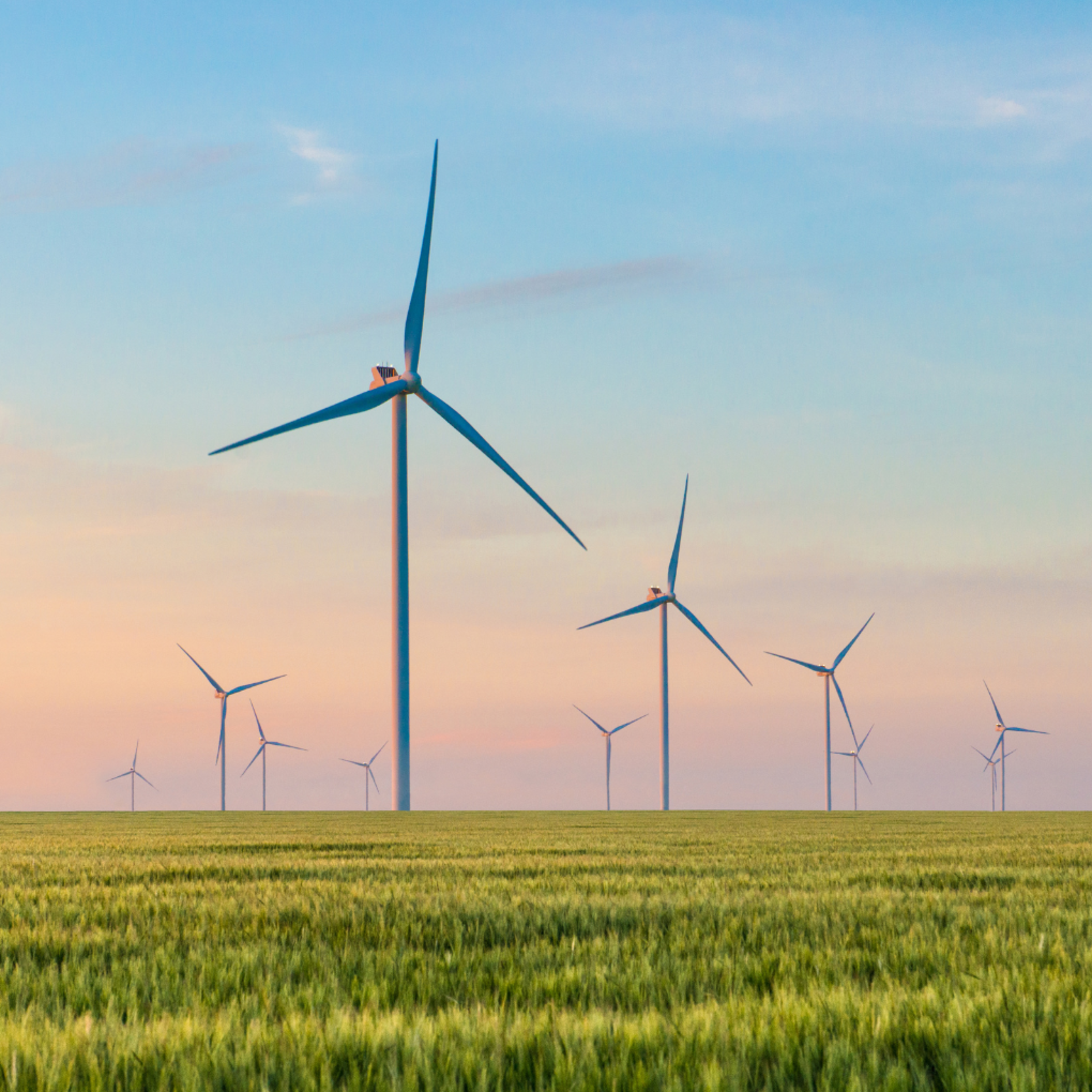 A field of windmills against a hazy blue sky.