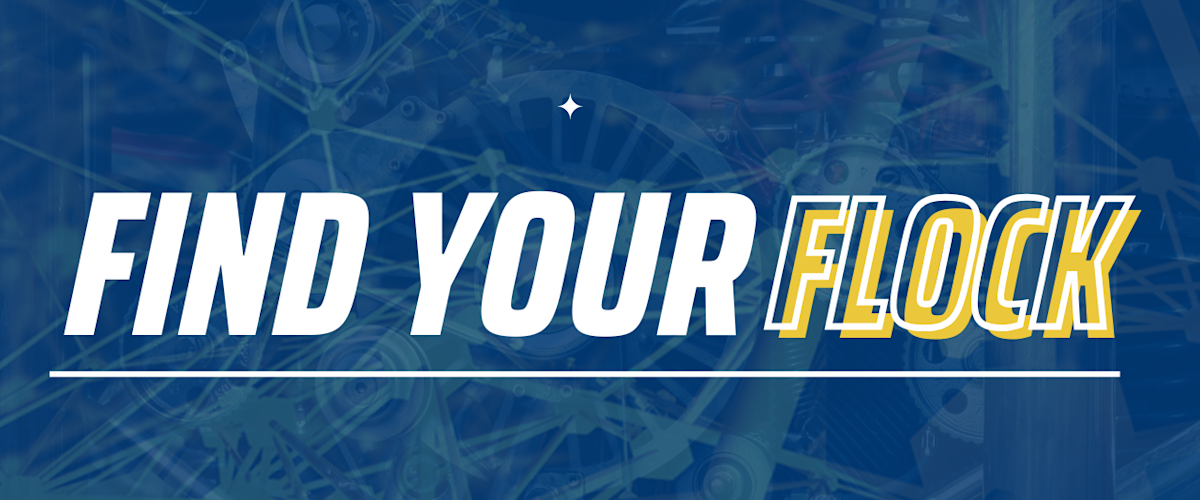 Find Your Flock